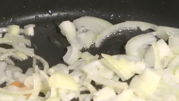 Fried onions. — Stock Video