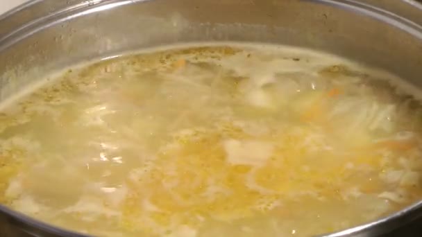 Nudelsuppe. — Stockvideo