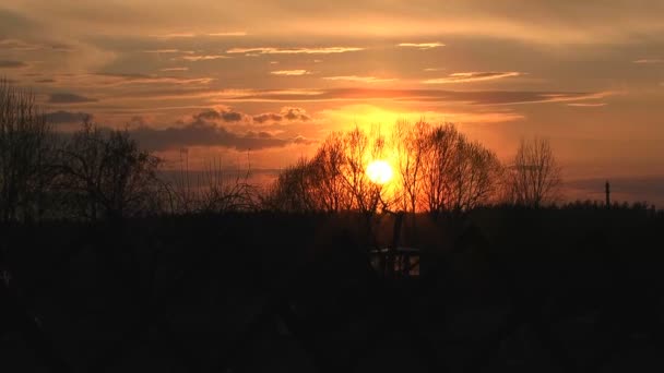 Våren sunset. — Stockvideo