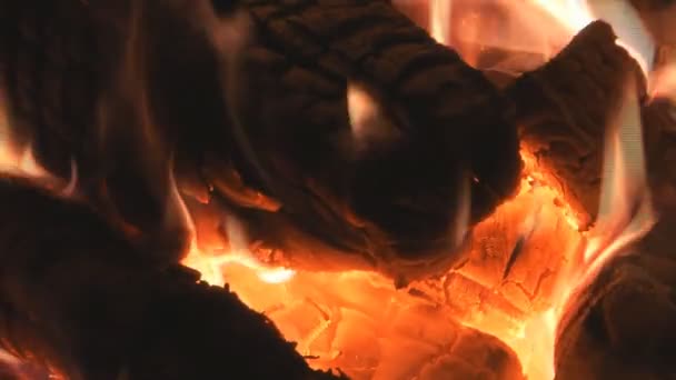 Огонь. — стоковое видео