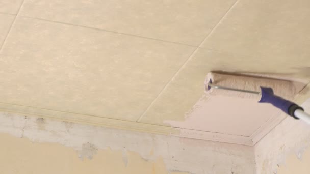 Pintura de teto . — Vídeo de Stock