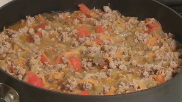 Vlees ragout. — Stockvideo