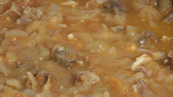 Vlees ragout. — Stockvideo