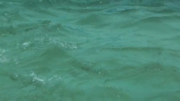 Vlnky na vodě. — Stock video