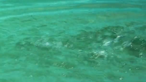 Rimpels op het water. — Stockvideo