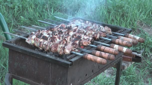 Shashlik. — Stock Video