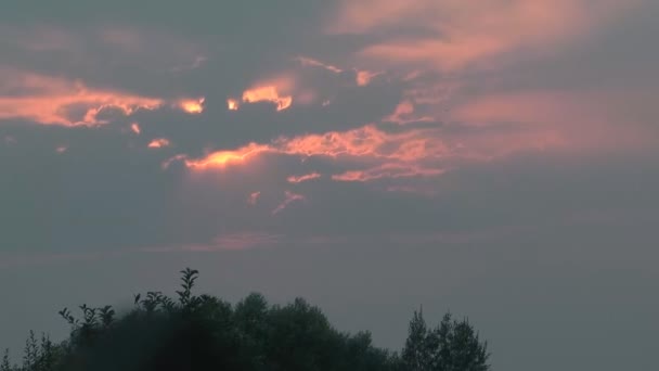 Sunset. — Stock Video