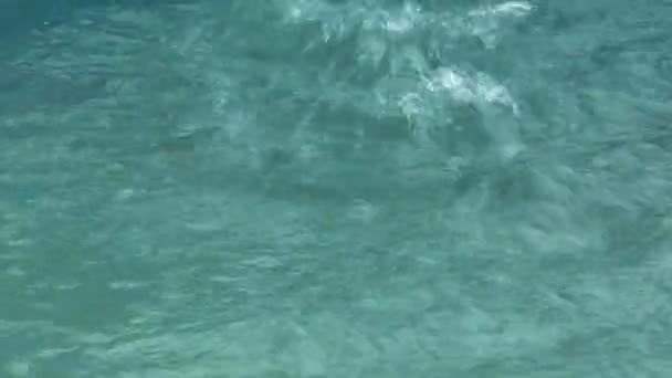 Ondulations sur l'eau. — Video