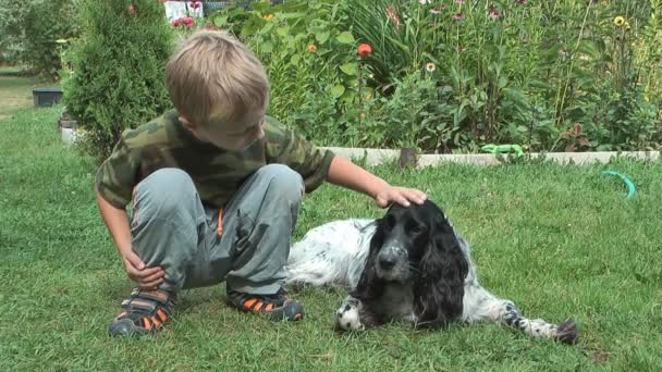 Boy and spaniel. — Stock Video