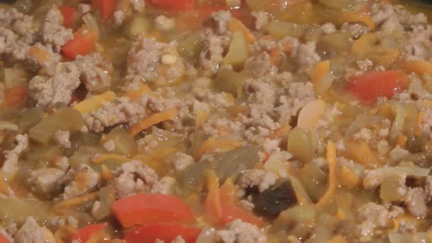 Fleischragout. — Stockvideo