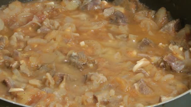 Fleischragout. — Stockvideo