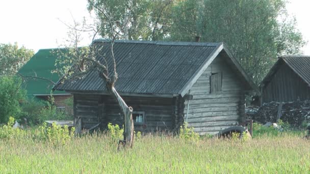 Rural. — Vídeo de Stock