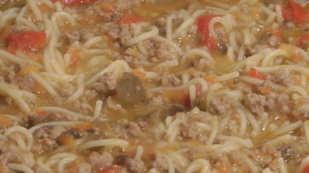 Meat ragout. — Stock Video