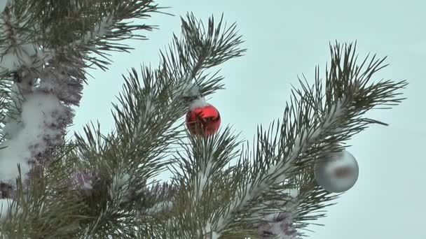 新的一年树. — 图库视频影像