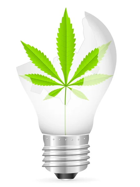 Розбита лампочка і листя марихуани — стоковий вектор