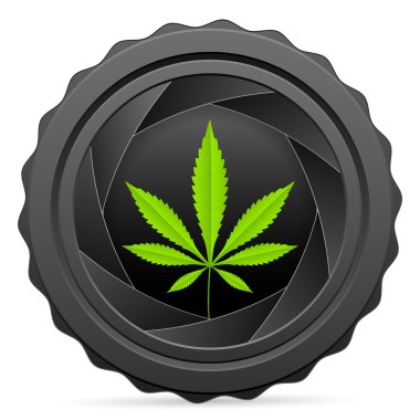 fotoğraf makinesi obtüratör marihuana yaprağı