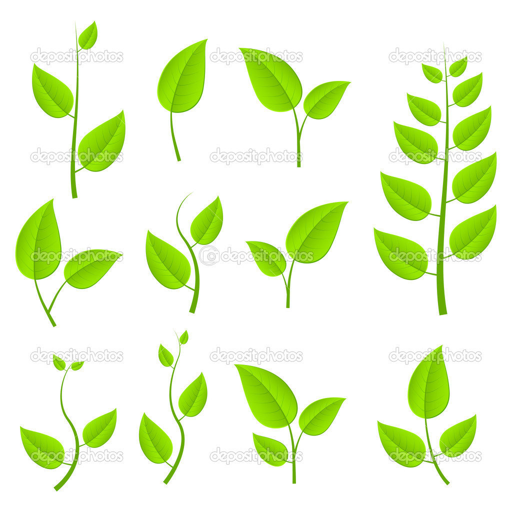 green leafs set