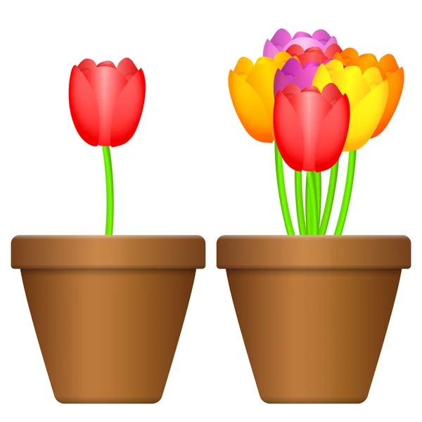 花盆和郁金香 — 图库矢量图片
