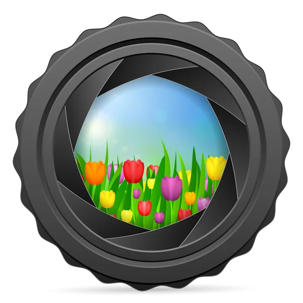Obturador de câmera com tulipas — Vetor de Stock