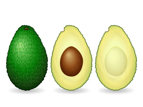 Avocado Auf Weißem Hintergrund Vektorillustration — Stockvektor