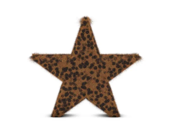 Fur Stjärna Symbol Vit Bakgrund Illustration — Stockfoto