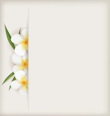 Plumeria çiçek arka plan