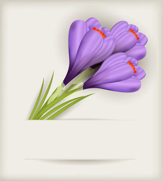 Букет фиолетовых крокусов — стоковый вектор