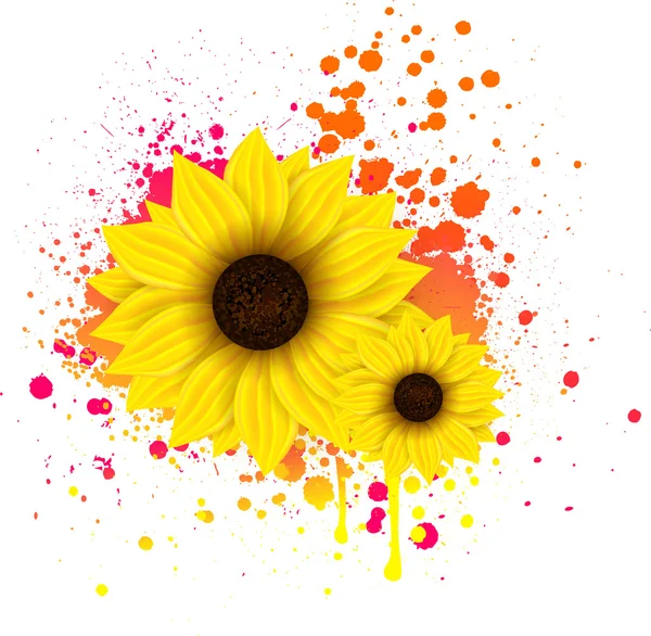 Two sunflowers on grunge backround — Stock Vector