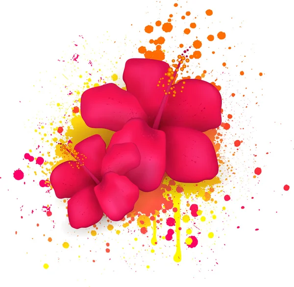 Hibiscus flowers on grunge background — Stock Vector