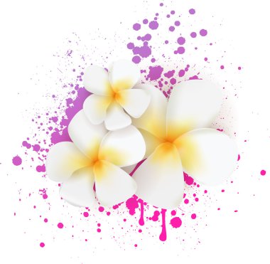 Grunge frangipani çiçekler