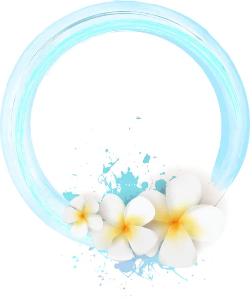 Cadre avec fleurs plumeria — Image vectorielle