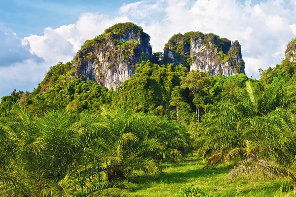 Montañas tailandesas — Foto de Stock
