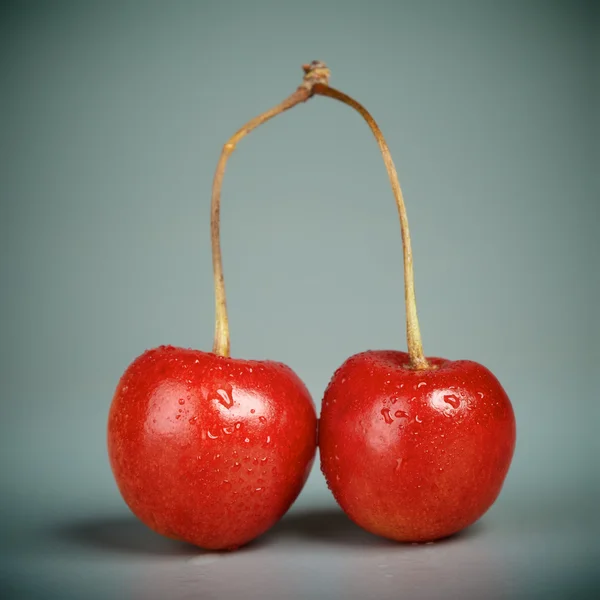 Cerises fraîches — Photo