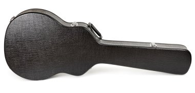 gitar kılıfı