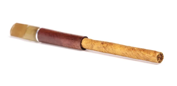Zigarre mit Holzmundstück — Stockfoto