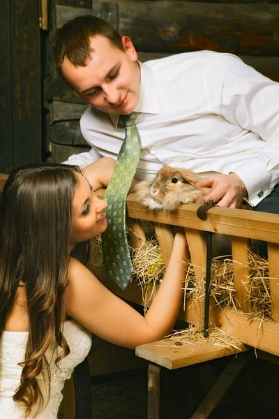 Novia y novio — Foto de Stock