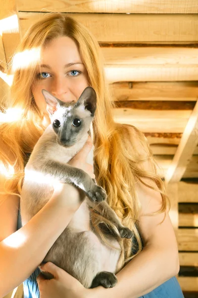 Menina com gato — Fotografia de Stock