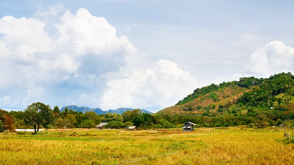 Paesaggio tailandese — Foto Stock