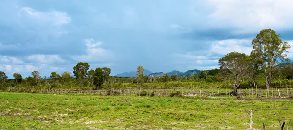 Paisaje Thai — Foto de Stock