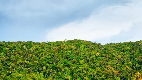 Thaise bergen — Stockfoto