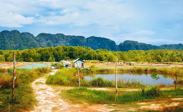 Thailändska landskap — Stockfoto