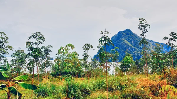 Koh Lanta Noi — Zdjęcie stockowe