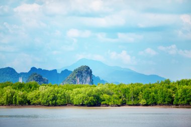 Krabi kayalar