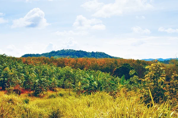 Paisaje Thai — Foto de Stock