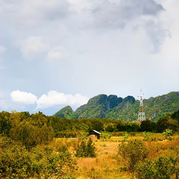 Tajski krajobraz — Zdjęcie stockowe
