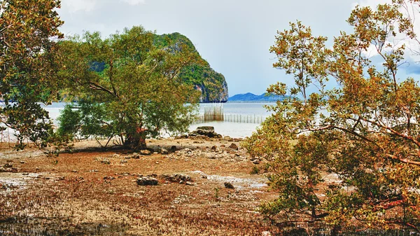 Litoral tropical — Fotografia de Stock