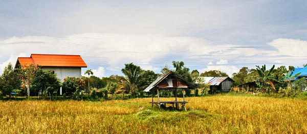 Paisagem tailandesa — Fotografia de Stock