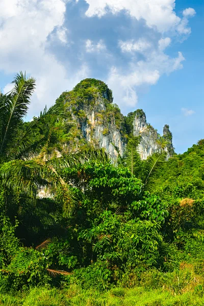 Thailändska bergen — Stockfoto