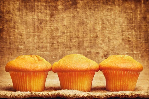 Citron muffins — Stockfoto