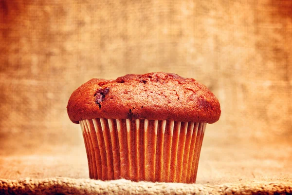 Chocolate Chip Muffin — Stock Photo, Image